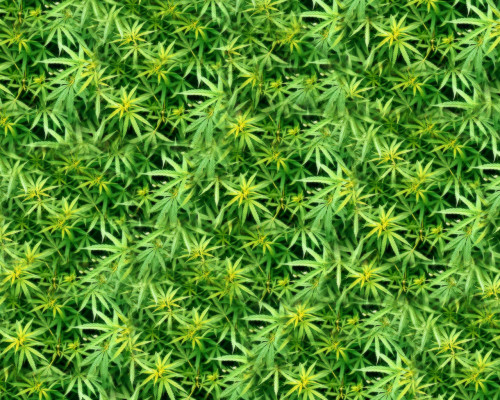 dank_wallpaper_by_club_marijuana.jpg